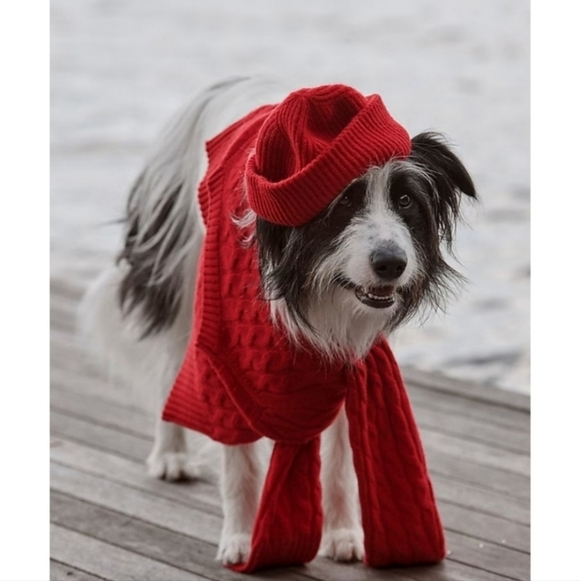 J. Crew Ribbed Cashmere Beanie - Picture 3 of 6